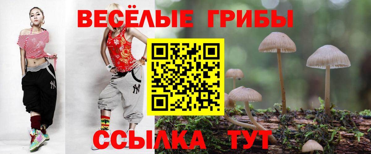 Псилоцибиновые грибы мицелий Горно-Алтайск