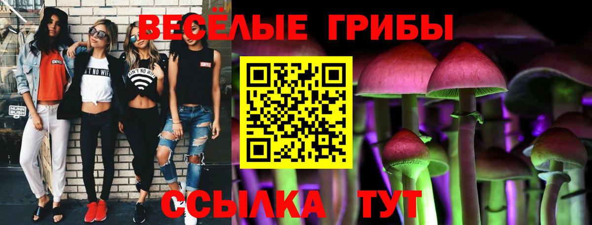 Горно-Алтайск  дарнет шоп  Вход с VPN  Псилоцибиновые грибы прущие грибы 